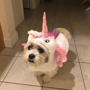 Meet your Posher, Chrissy